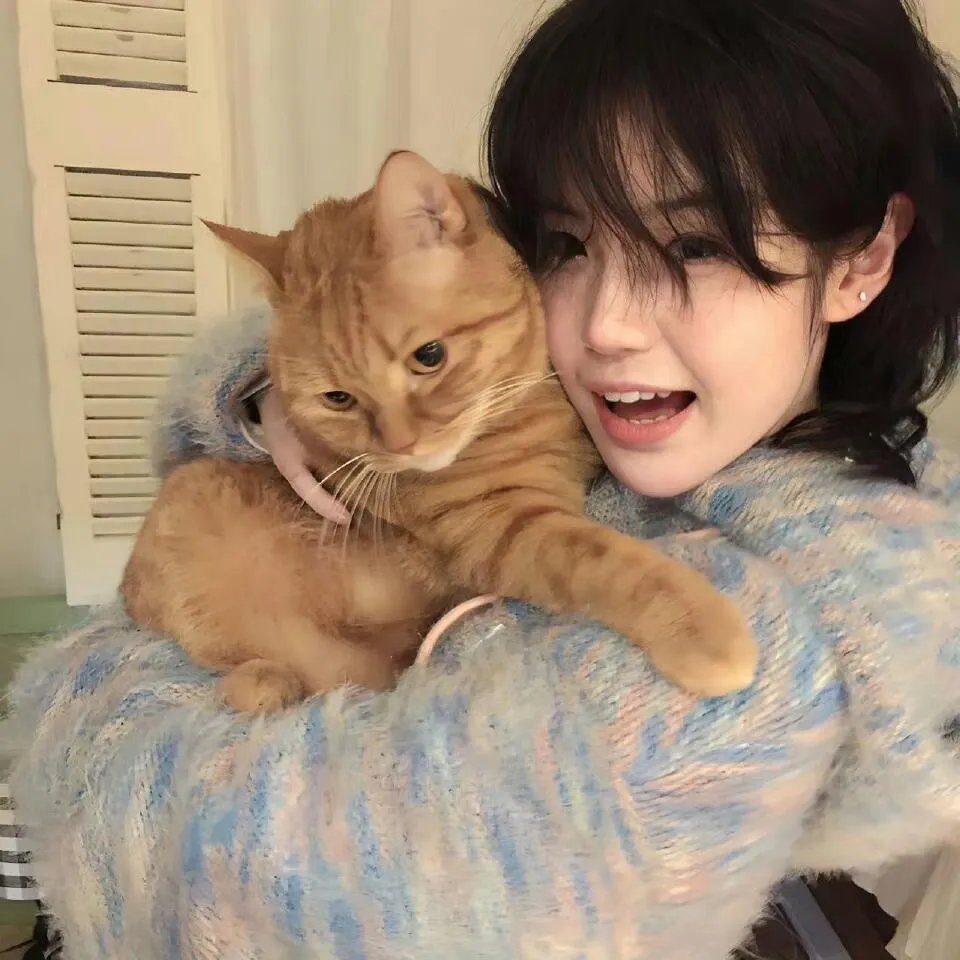 逆流之青云直上